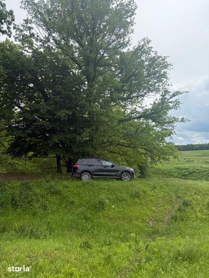 Teren de 10000 mp, în Lipănești