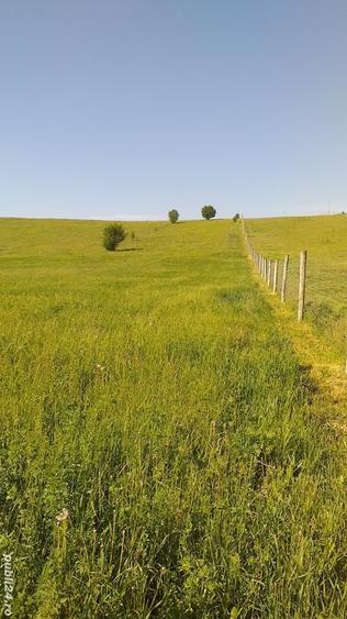Teren de 18000 mp, în Feldioara