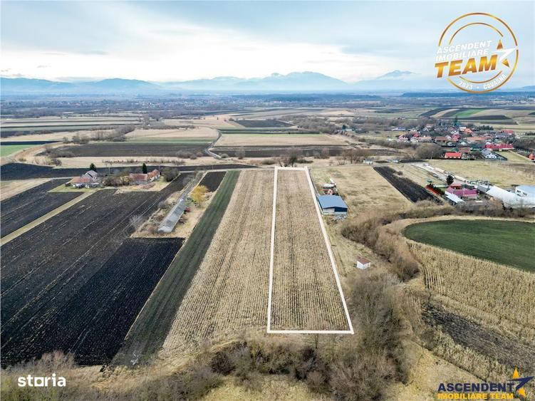 Teren de 5800 mp, în Ilieni