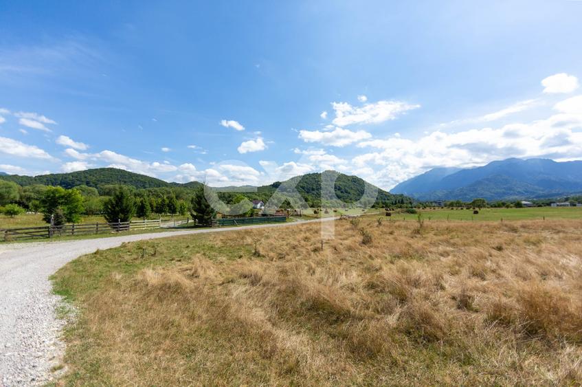 Teren Construcții intravilan de 4260 mp, în Glăjărie