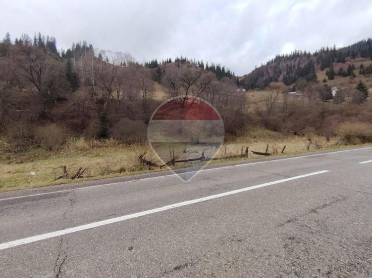 Teren Construcții intravilan de 35858 mp, în Rusca