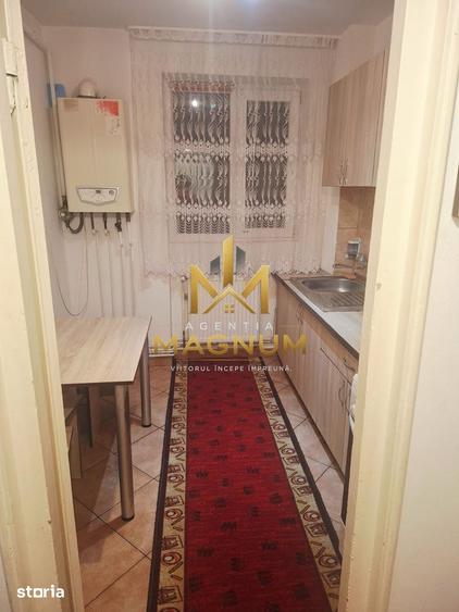 Apartament cu 2 camere semidecomandat în Săsar