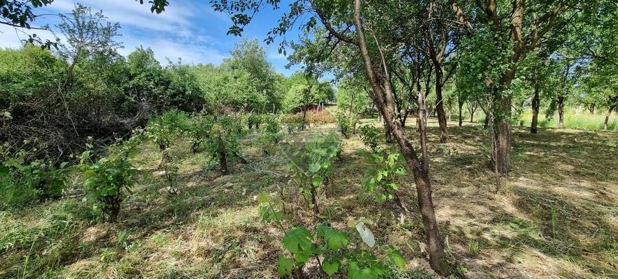 Teren Construcții intravilan de 873 mp, în Ocoliș