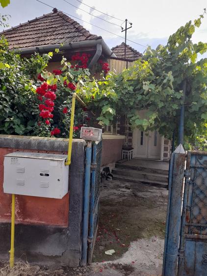 Casă cu 3 camere în Vidrasău