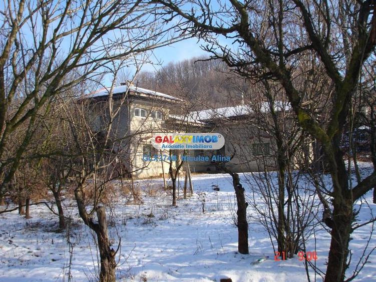 Teren Construcții intravilan de 12765 mp, în Bogați