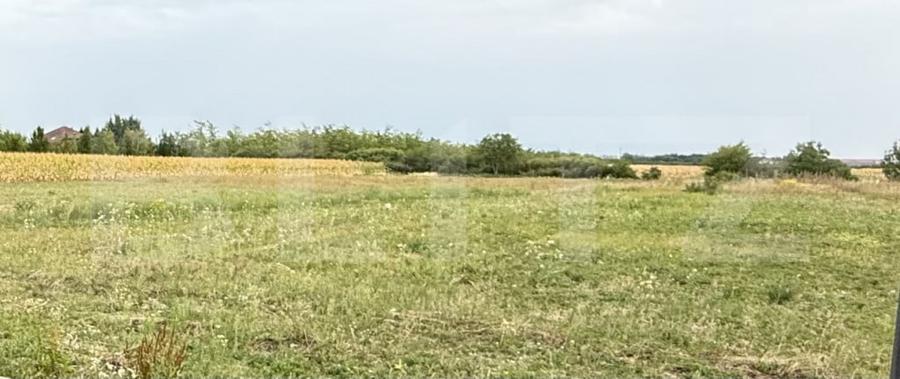 Teren intravilan , 500 mp , Zona Odoreu - 1