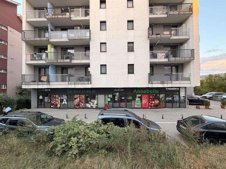 Spațiu comercial, de 375 mp, în Borhanci