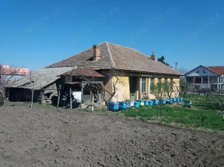 Casă cu 6 camere în Maglavit