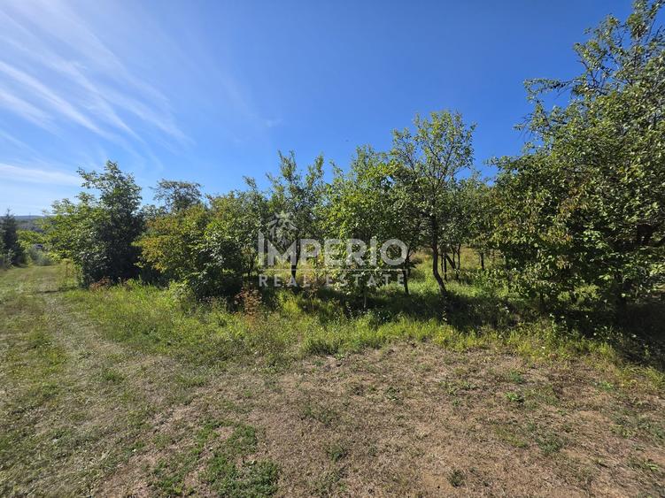 Teren Construcții intravilan de 5051 mp, în Borhanci