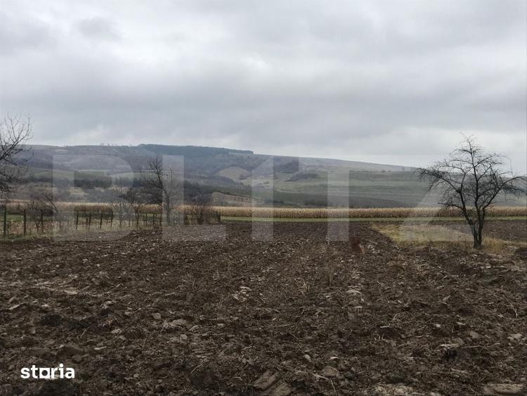 Casă cu 3 camere cu Teren 3400 Mp în Vulturești