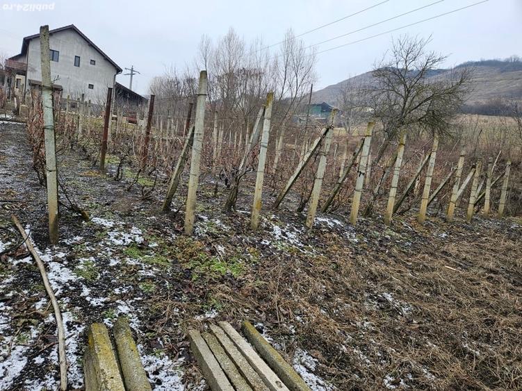 Casă în Târnăveni