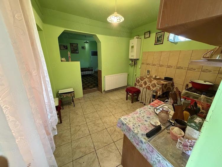 Casă cu 3 camere cu Teren 2200 Mp în Medieșu Aurit