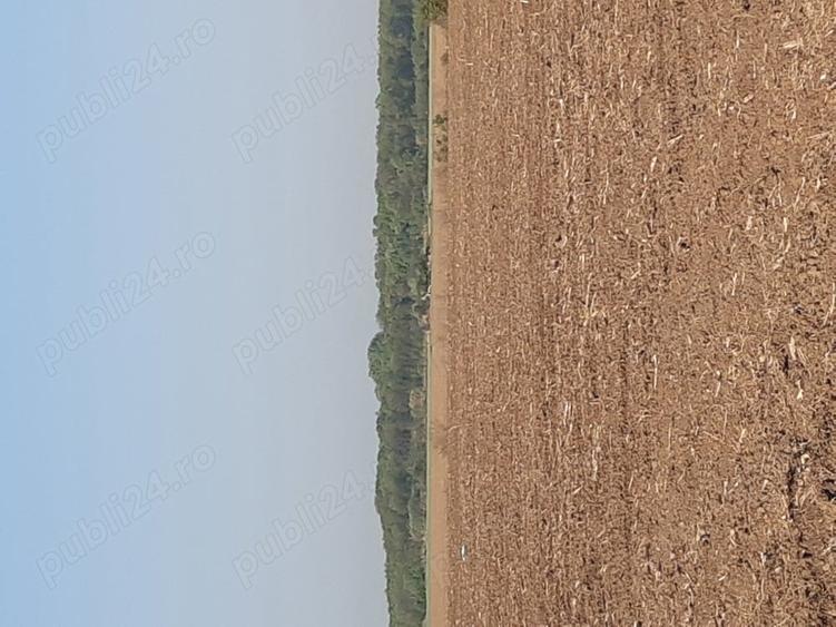 Teren de 4850 mp, în Dobreni