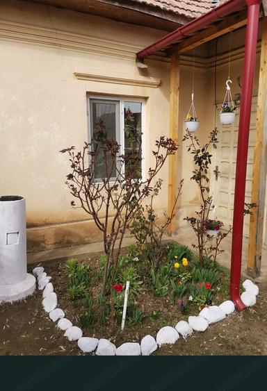 Casă cu 4 camere cu Teren 1400 Mp în Central