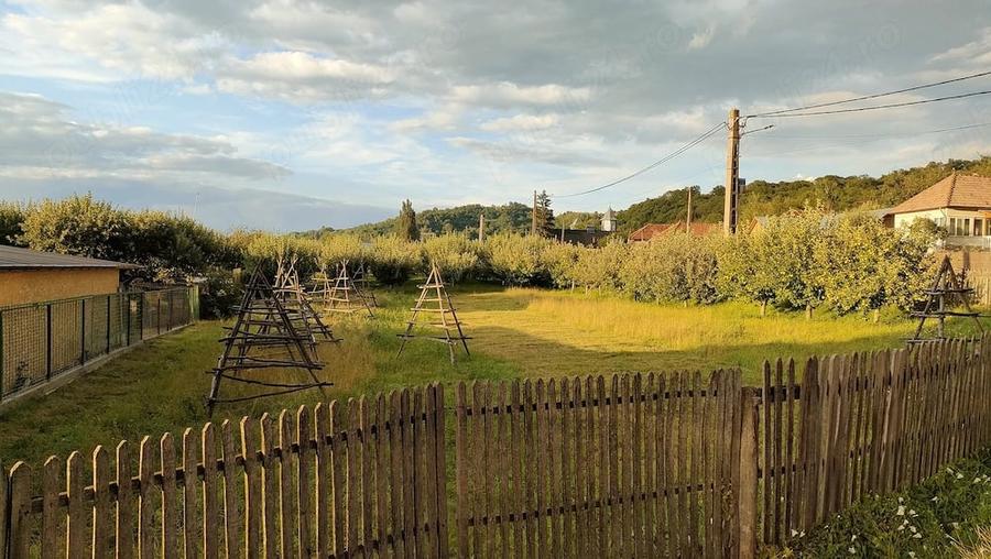 Teren de vanzare - 1