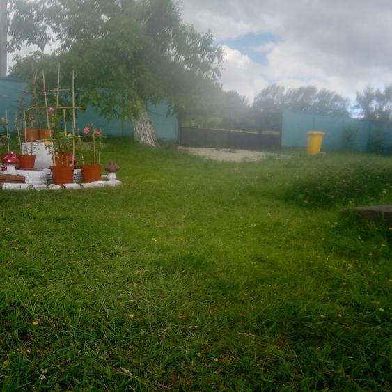 Casă individuală cu 2 camere cu Teren 1450 Mp în Baia de Criș