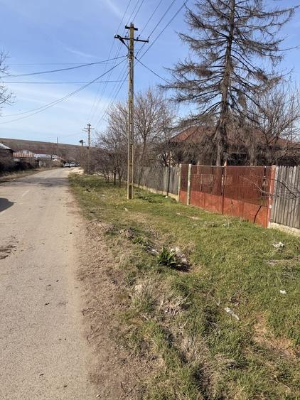 Se vinde teren intravilan in Ghizdaru ,jud Giurgiu la doar 7 km de GR - 3