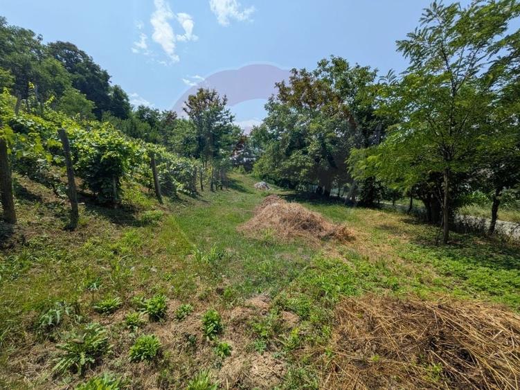 Teren Construcții intravilan de 2800 mp, în Crihan