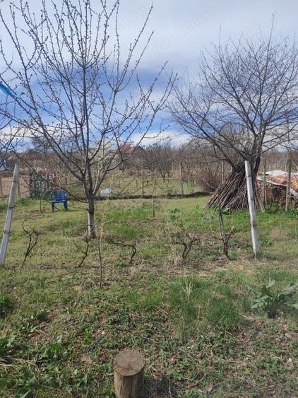 Casă cu 5 camere cu Teren 80 Mp în Central