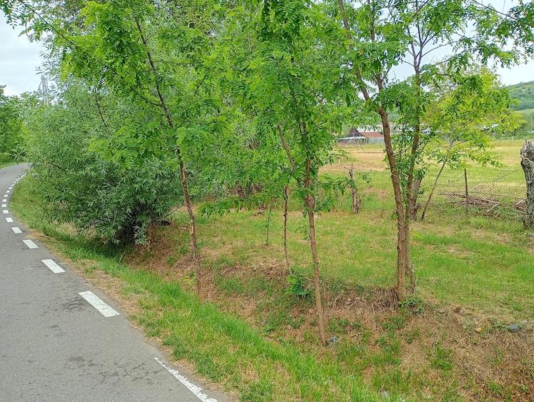 Teren de 756 mp, în Borozel