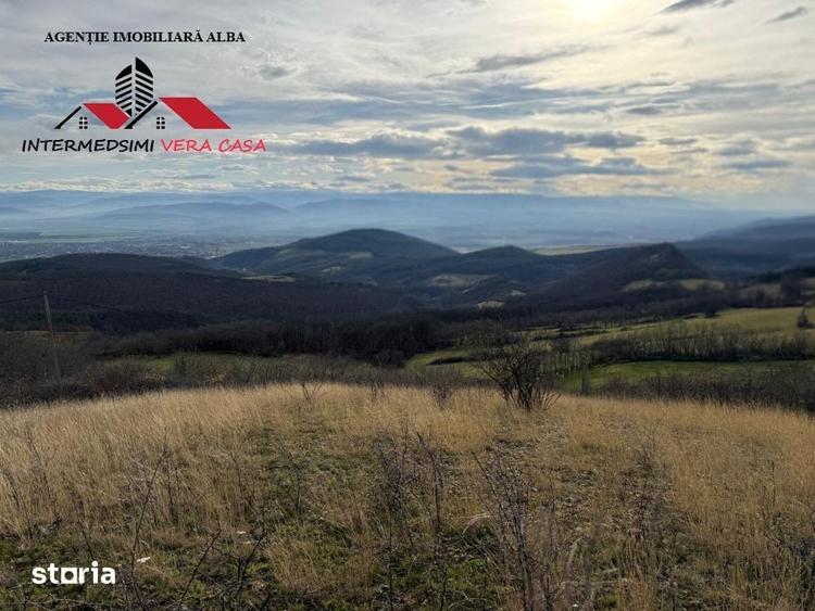 Teren de 8010 mp, în Vințu de Jos