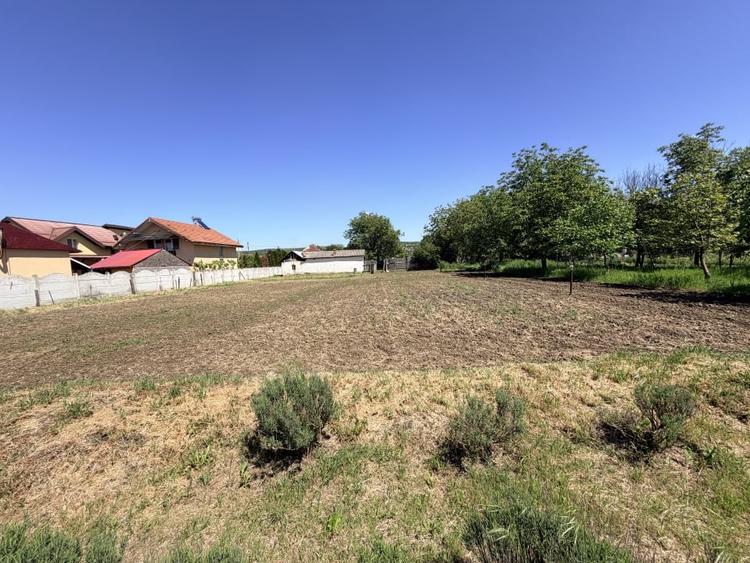 Casă individuală cu 6 camere cu Teren 3000 Mp în Exterior Nord