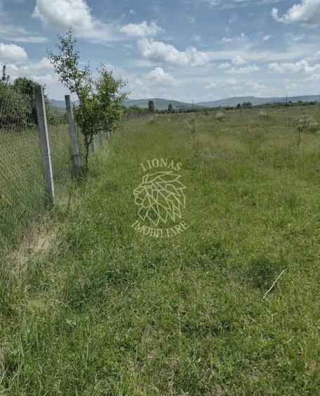 Teren agricol extravilan de 23700 mp, în Jelna