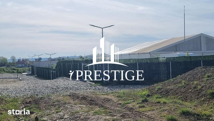 Teren de 2000 mp, în Trei Stejari