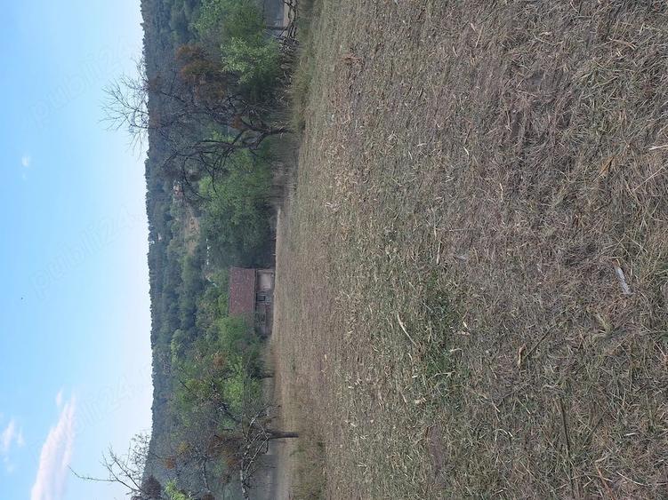 Teren de 2880 mp, în Mustești