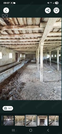 Vand grajd Galdau,Calarasi - 1