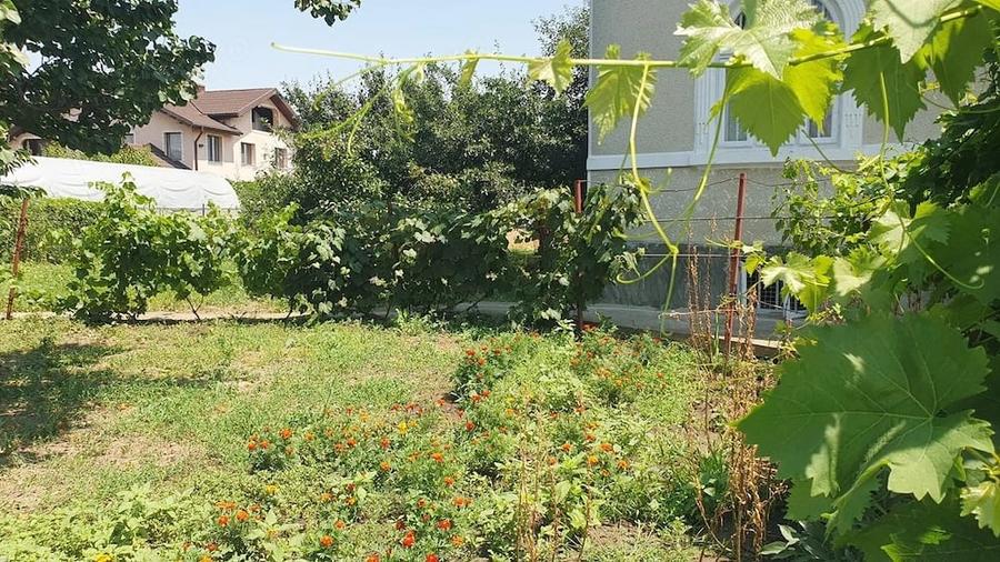 Casă cu 3 camere cu Teren 2101 Mp în Central