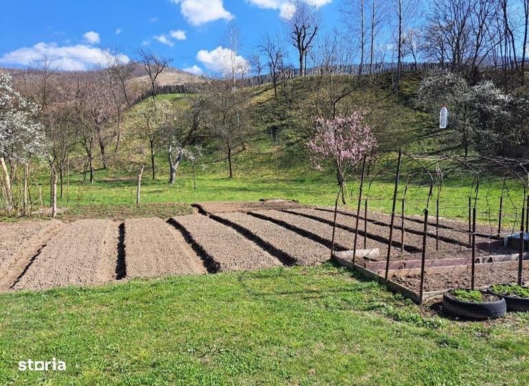 Casă cu 4 camere în Costești (Albac)