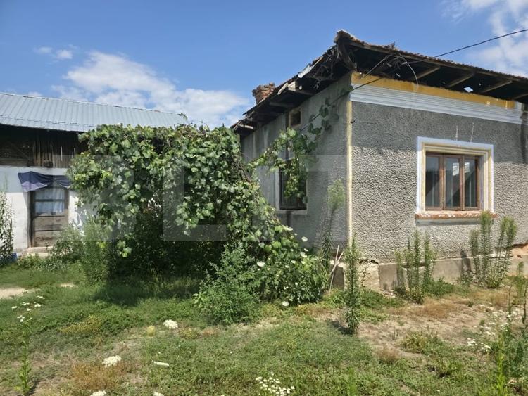 Teren Construcții intravilan de 1598 mp, în Cobia