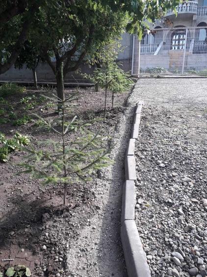 Casă cu 1 camere în Dancu