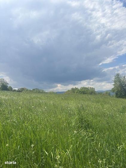 Casă individuală cu 4 camere cu Teren 2600 Mp în Deleni
