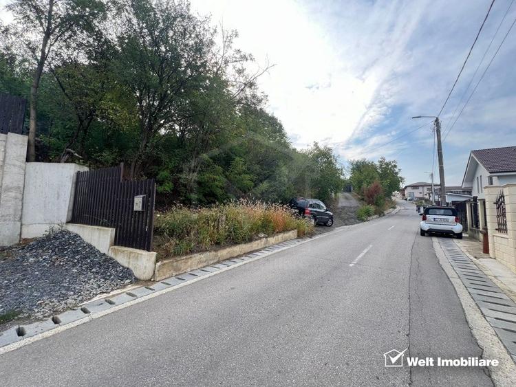 Teren Construcții intravilan de 5800 mp, în Dezmir