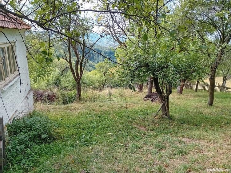 Teren de 50 mp, în Central