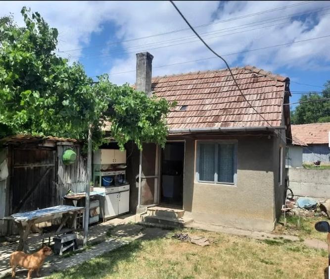 Casă cu 2 camere cu Teren 1300 Mp în Rediu