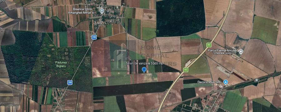Teren agricol extravilan de 5500 mp, în Moara Vlăsiei