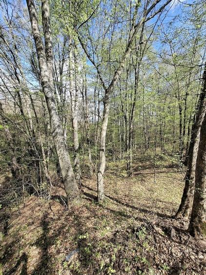 Teren de 5000 mp, în Valea Danului