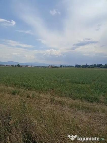 De vanzare terenuri extravilane in Sfantu Gheorghe - 7
