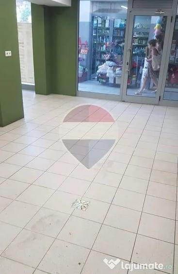 INCHIRIERE Spatiu comercial in Piata Domenii - 9
