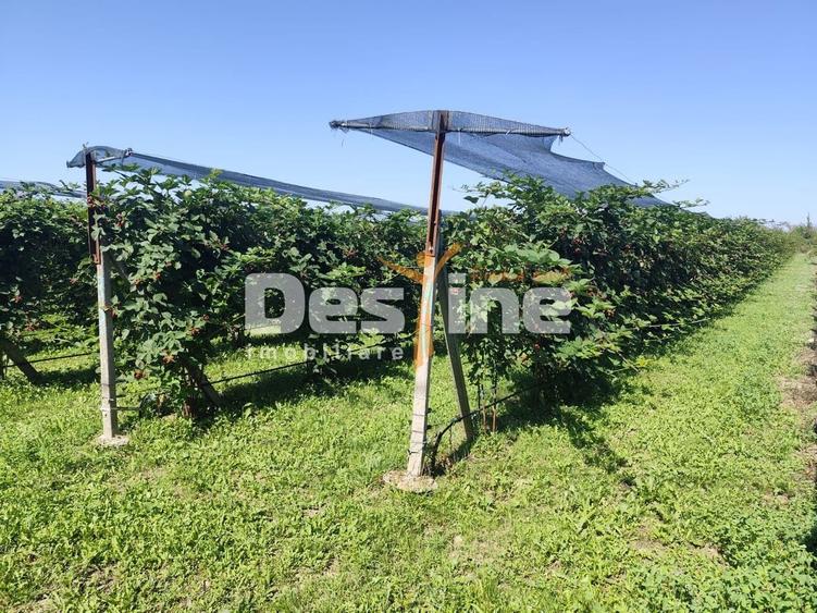 Proprietate specială, de 30 mp, în Nord
