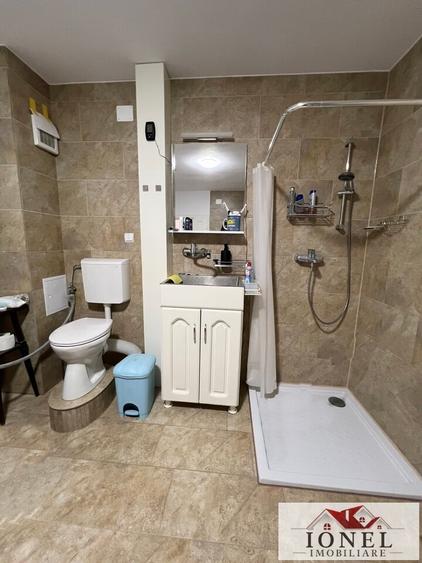 Casă individuală cu 20 camere cu Teren 6000 Mp în Teiuș