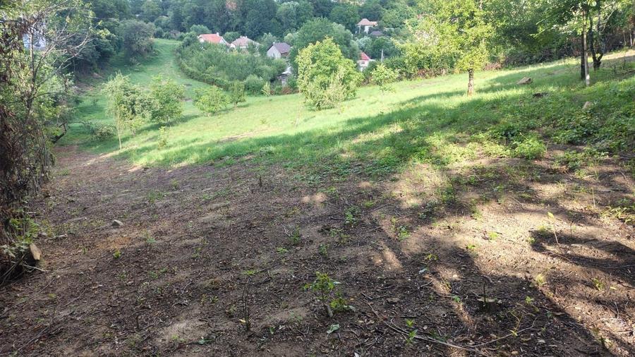 Teren Construcții intravilan de 5330 mp, în Feleacu