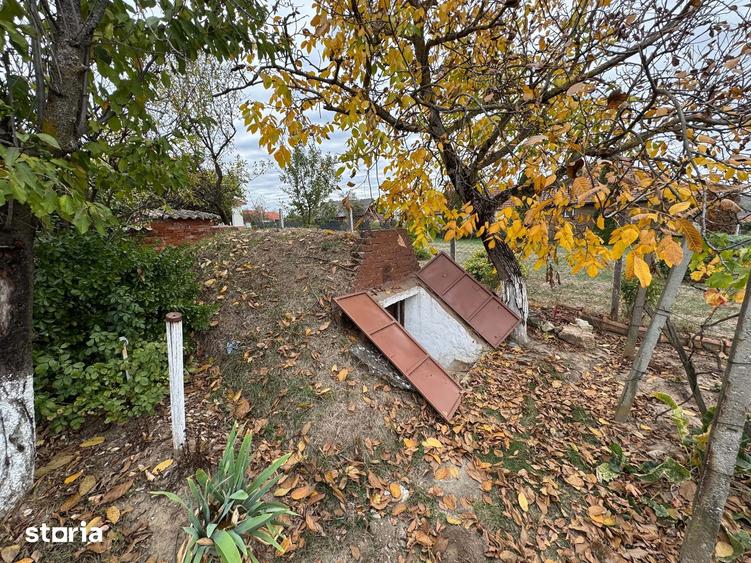 Teren de 1800 mp, în Viile Satu Mare