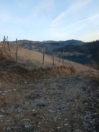 Teren de 2030 mp, în Central