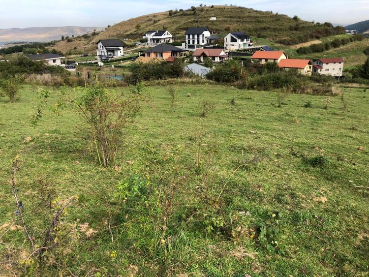 Teren Construcții intravilan de 5100 mp, în Tăuți