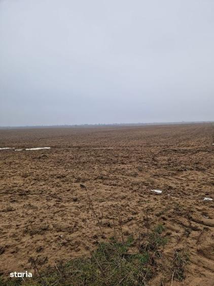 Teren de 2500 mp, în Malu Mare