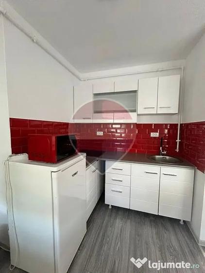 Apartament cu 2 camere semidecomandat în Alfa